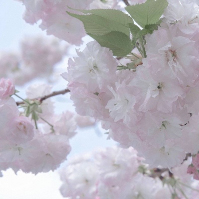 川汇福瑞交流群